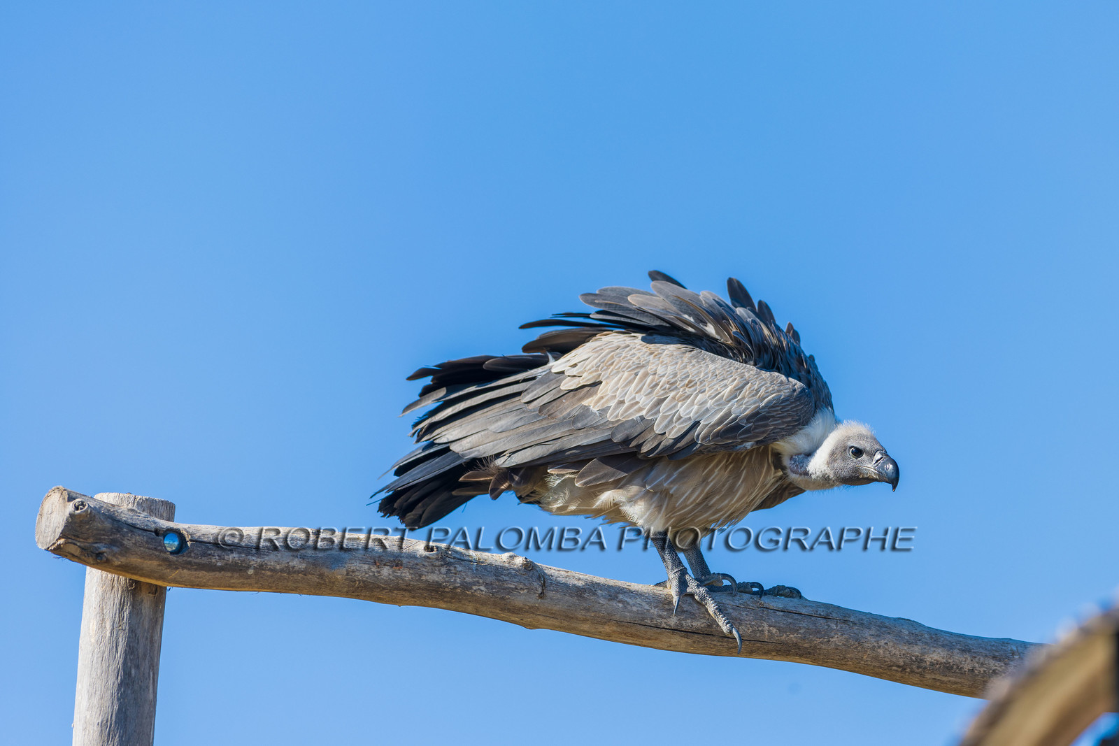 Parc animalier de la Barben