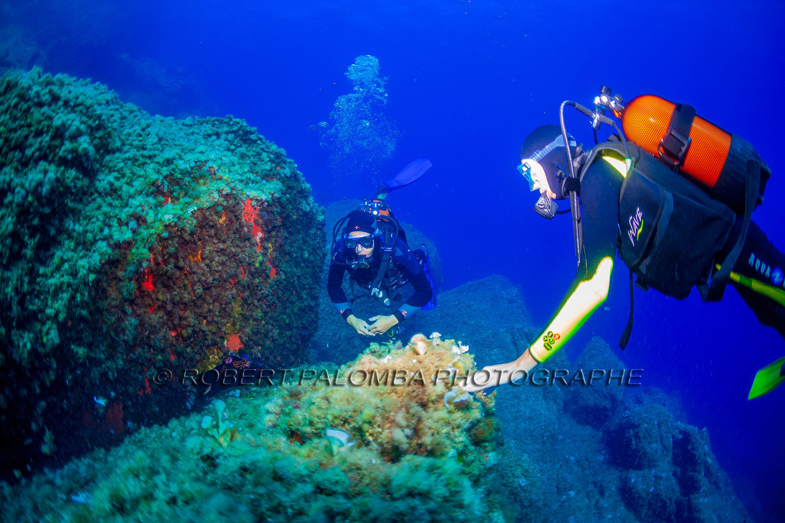 Plongée-sous-marine