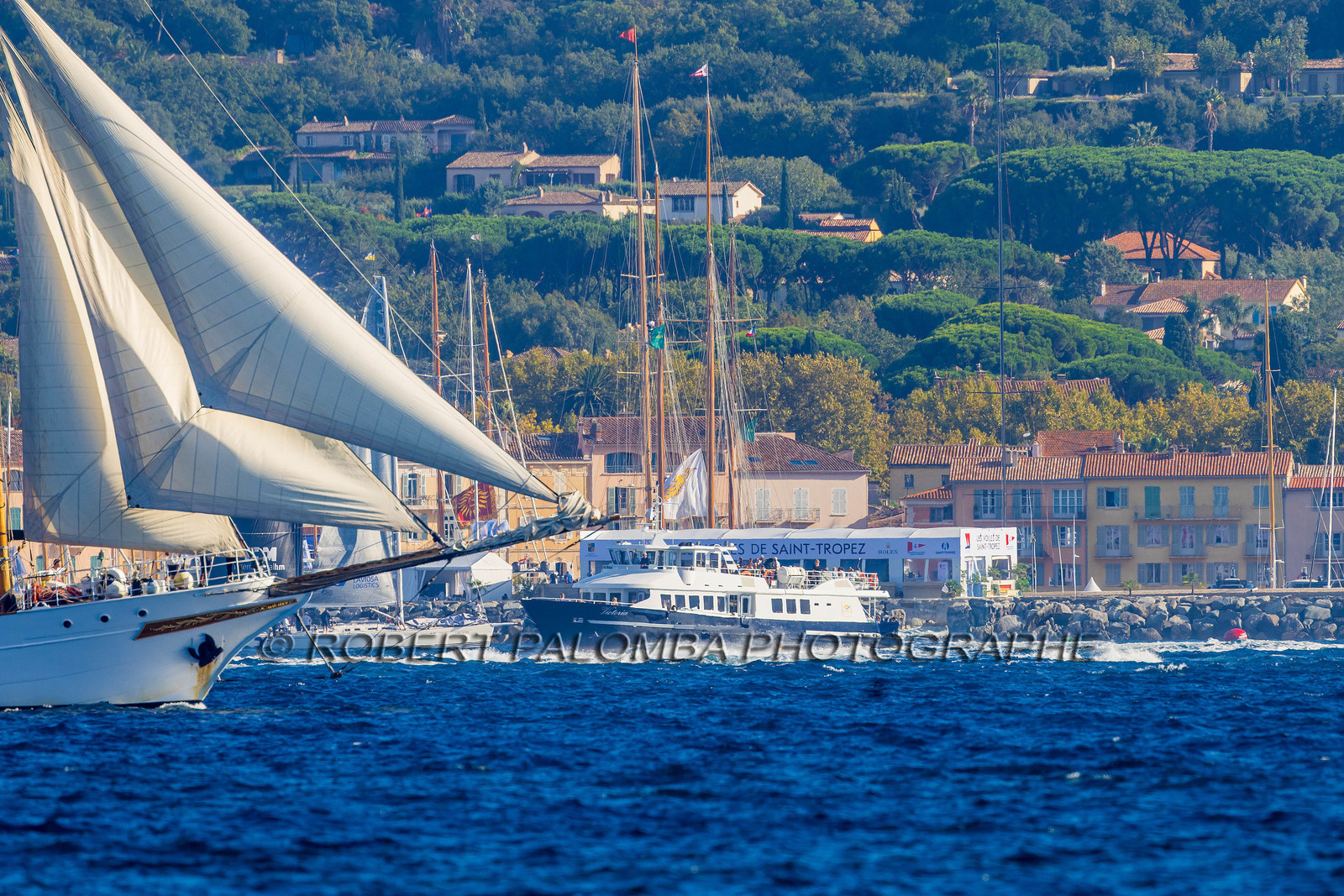 Les Voiles de Saint-Tropez