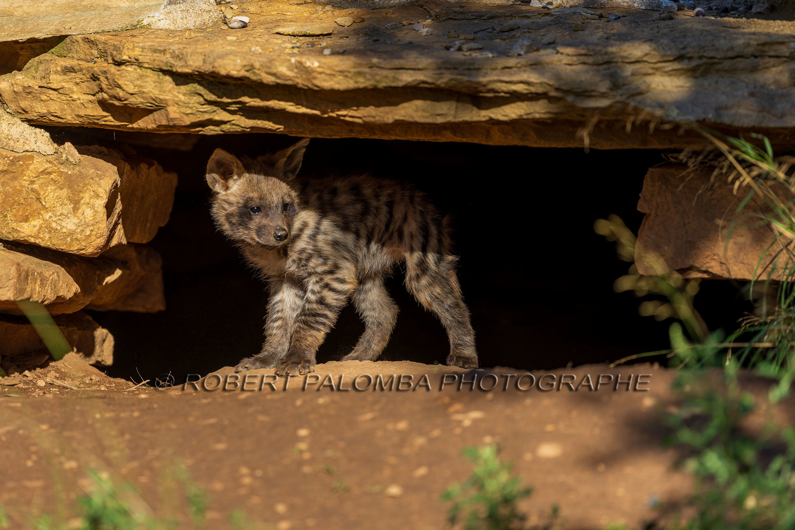 Parc animalier de la Barben