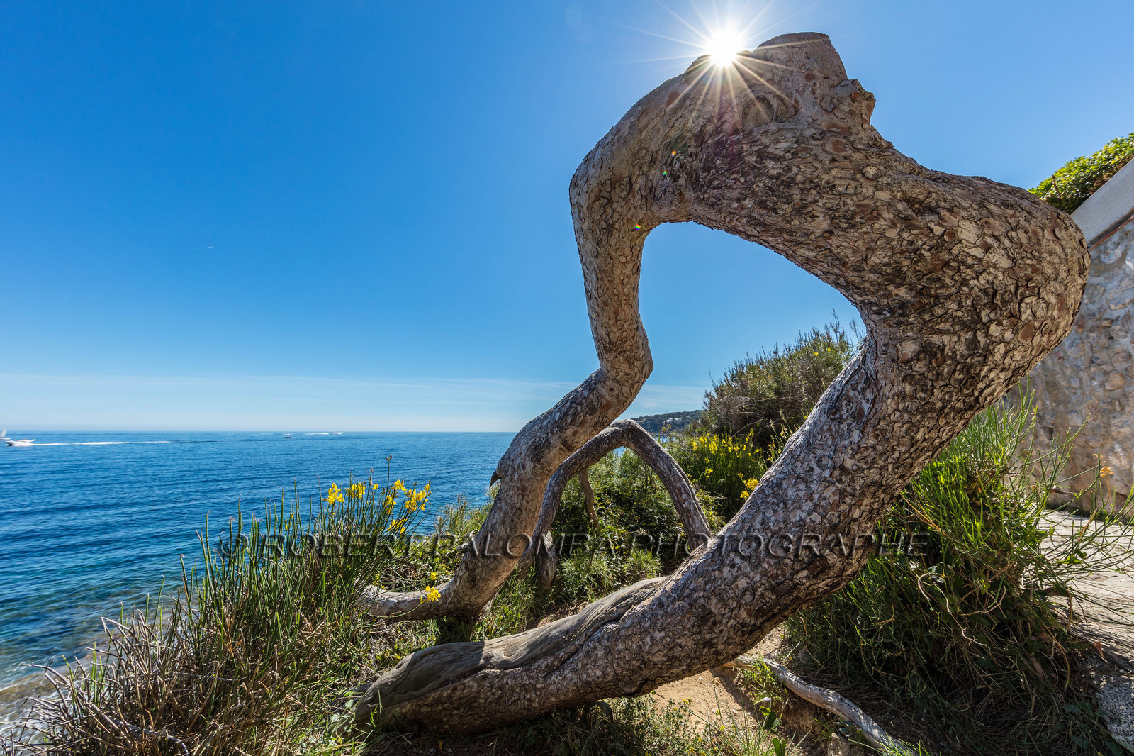 Saint-Jean-Cap-Ferrat.