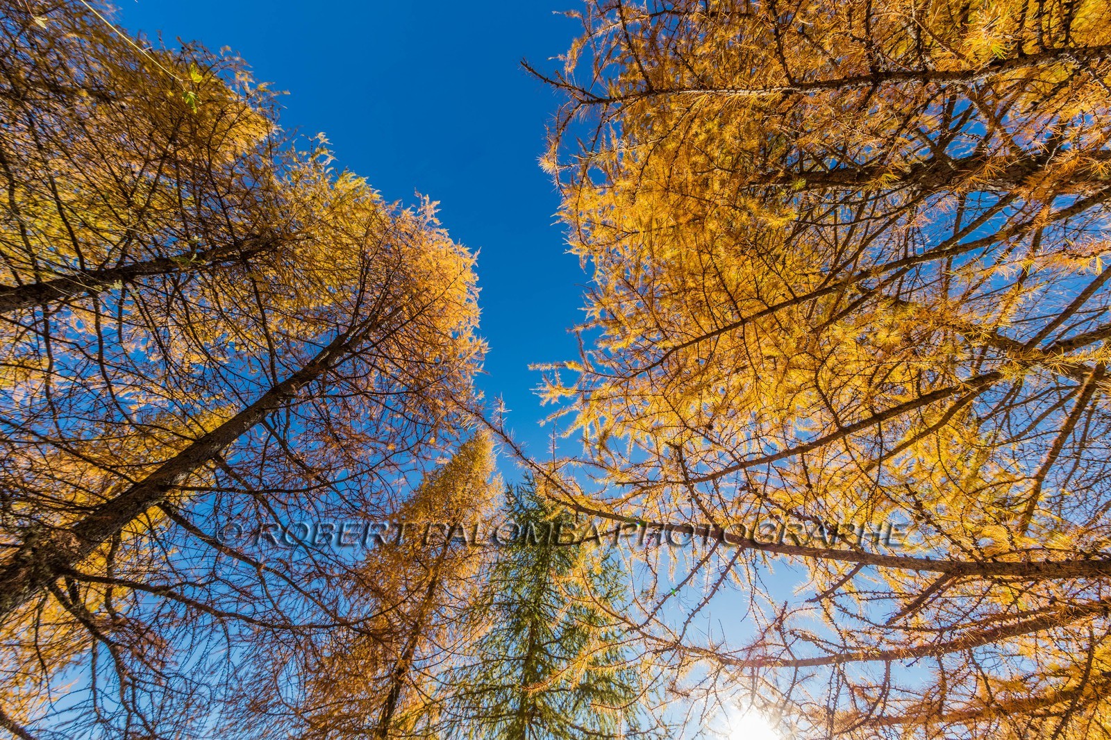 Granges de la Brasque