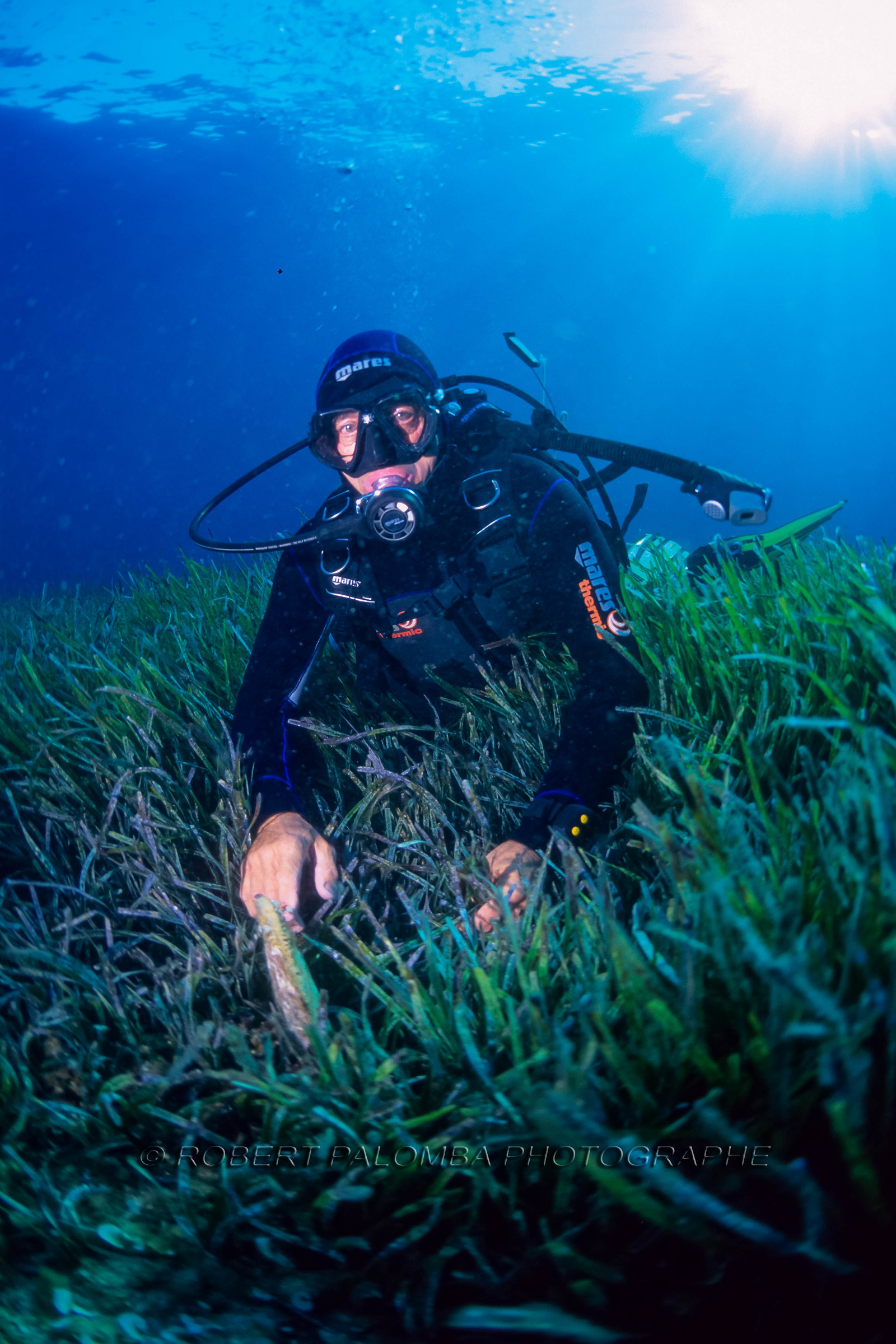 Plongée sous-marine