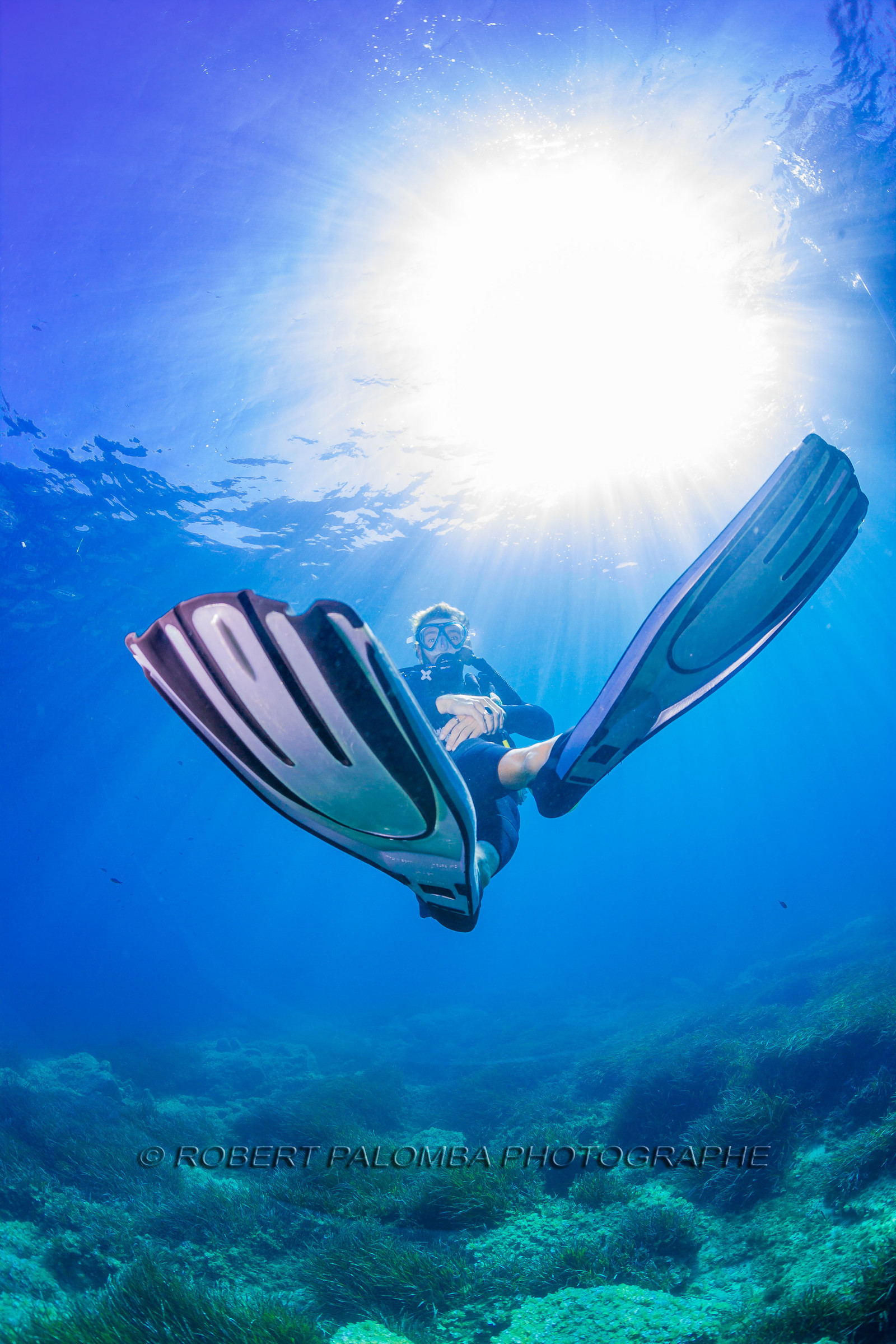 Plongée-sous-marine