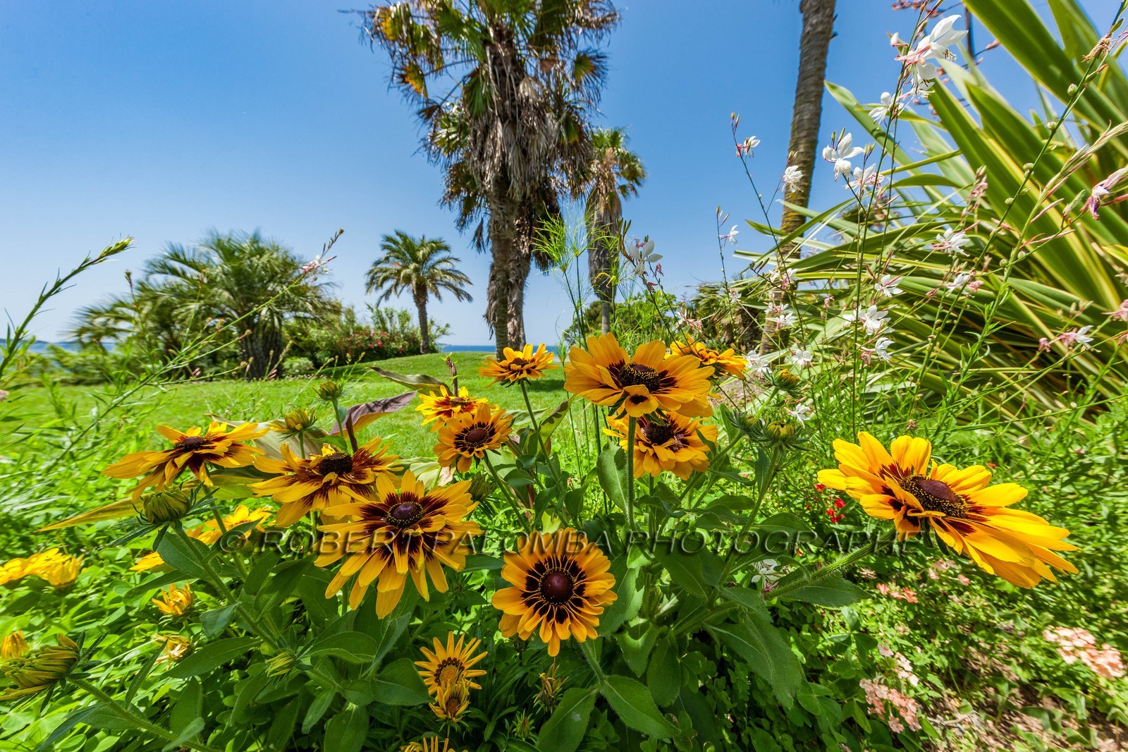 Six-Fours-les-Plages