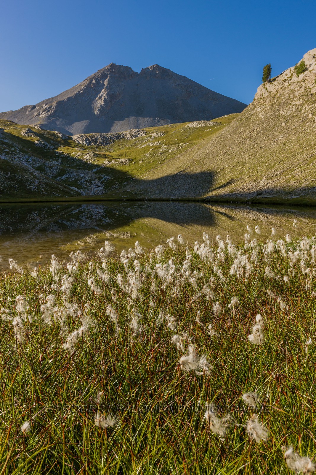 Lacs de l'Encombrette