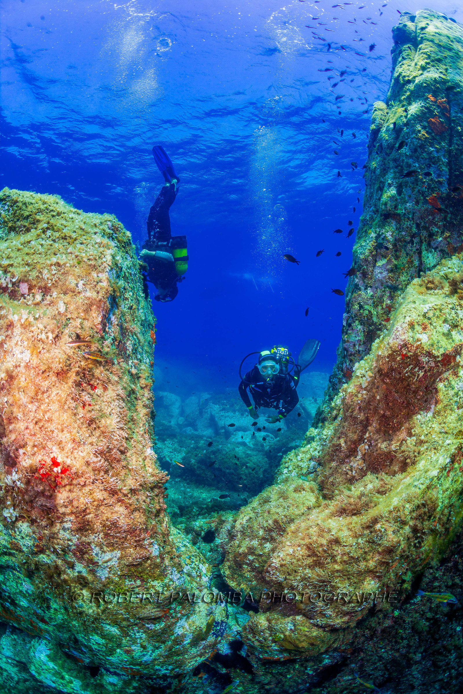Plongée-sous-marine