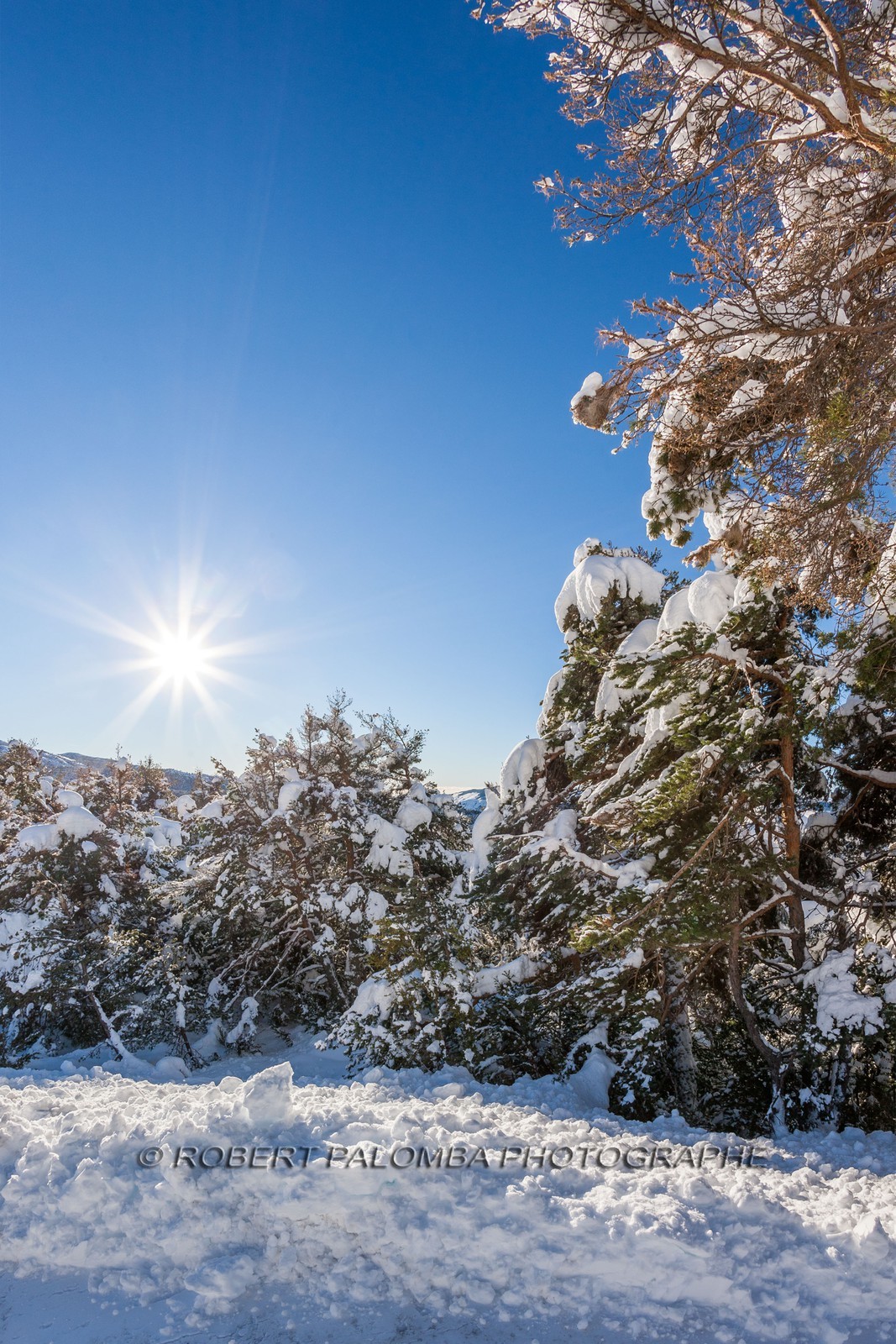 Gréolières-les-Neiges