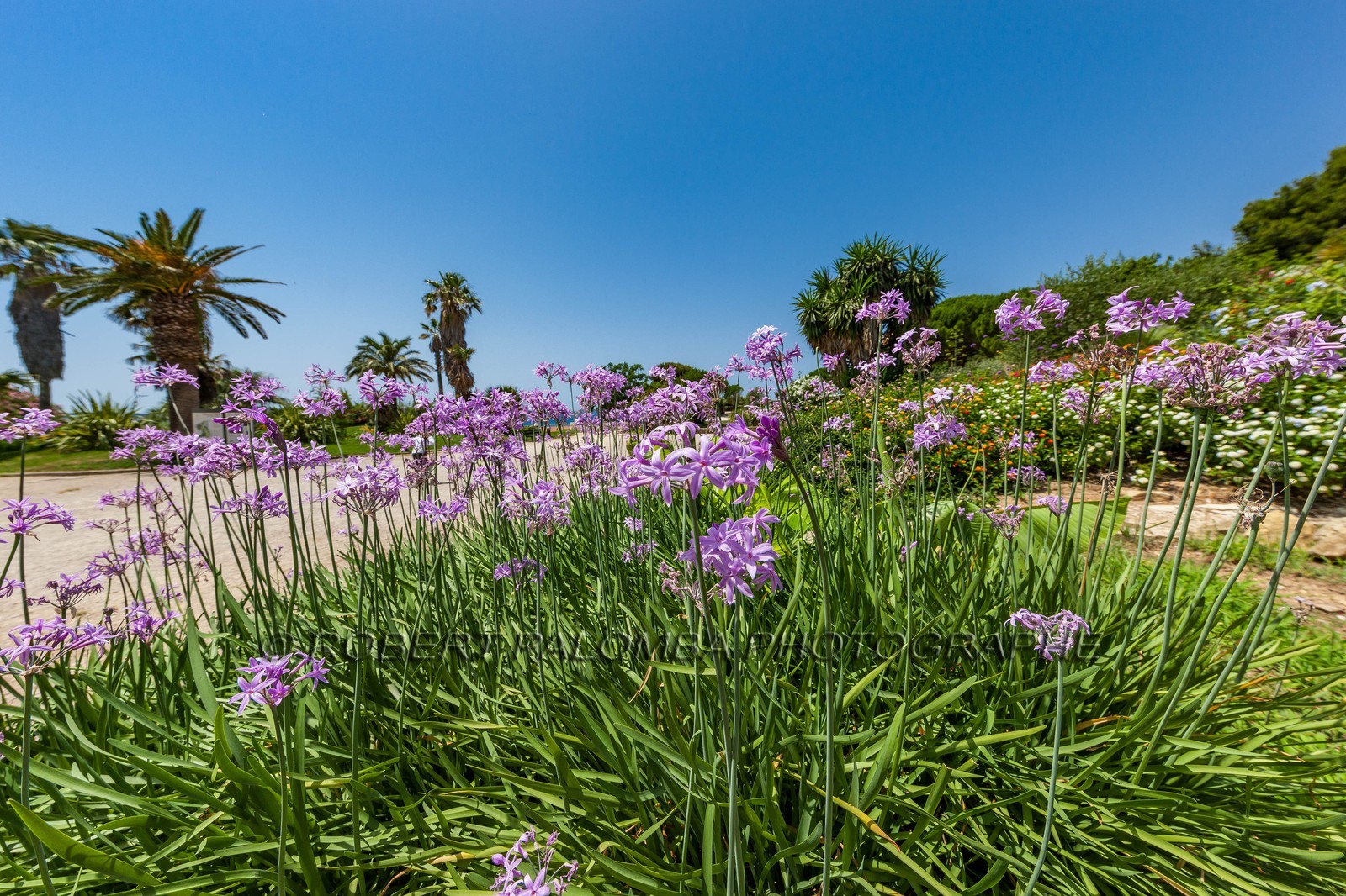 Six-Fours-les-Plages