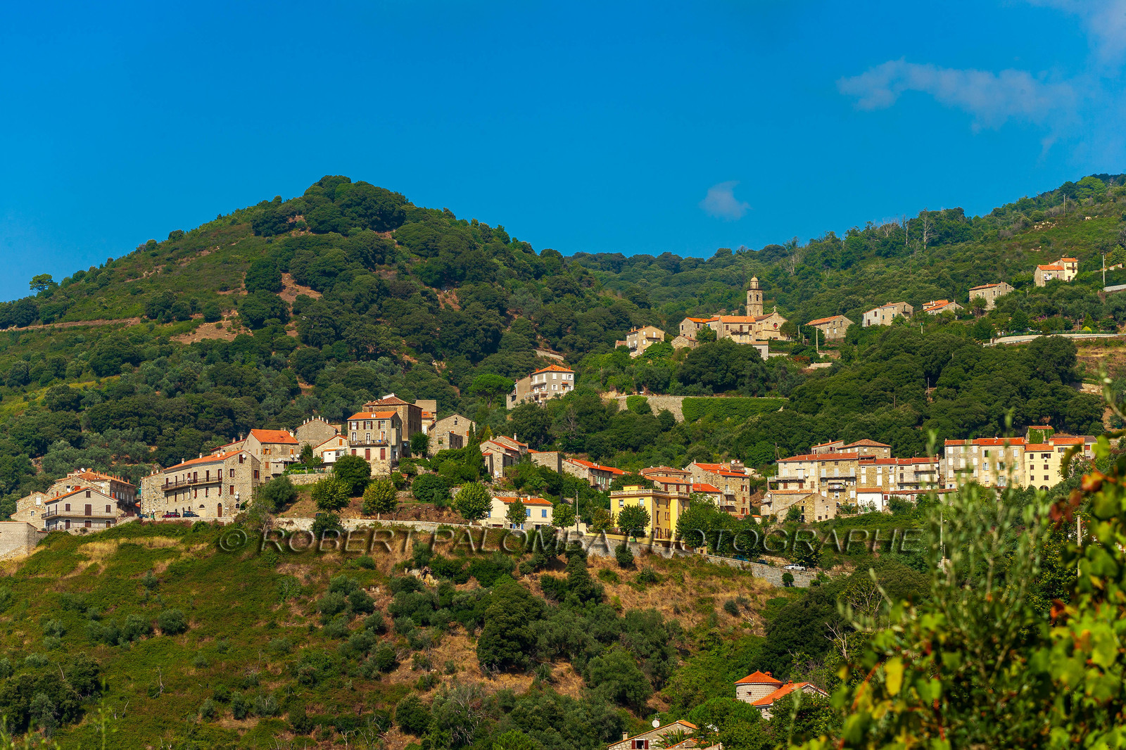 Sainte-Lucie-de-Tallano