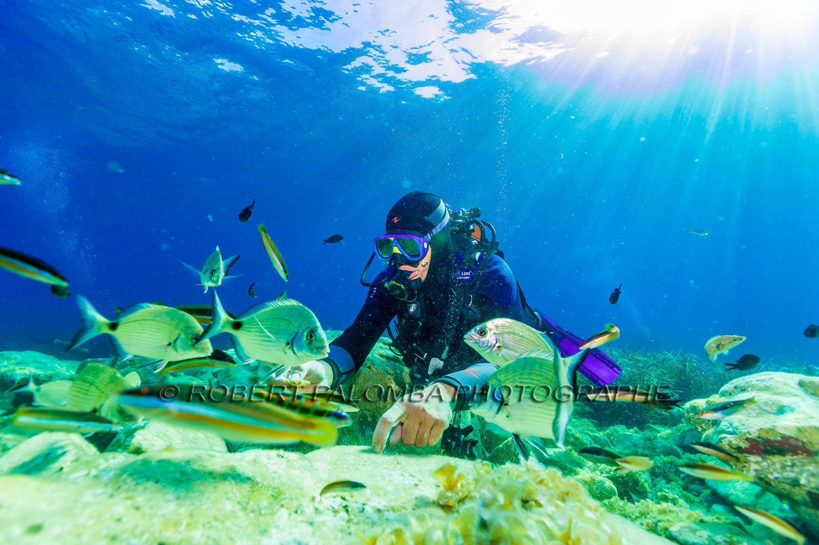 Plongée-sous-marine