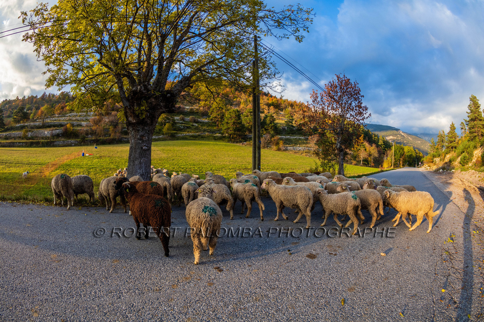 La Colle Saint-Michel