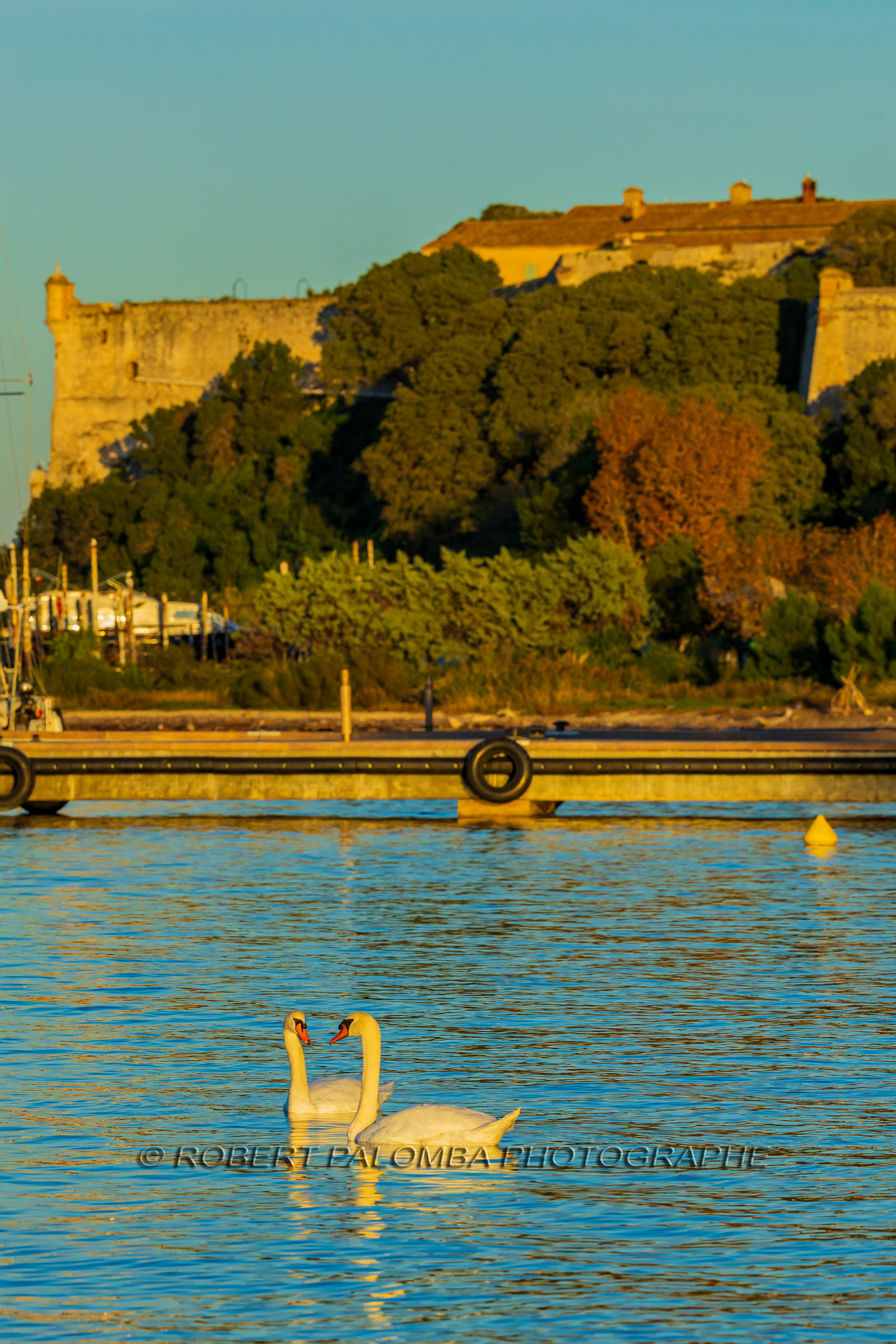 Lérins Sainte Marguerite 2024