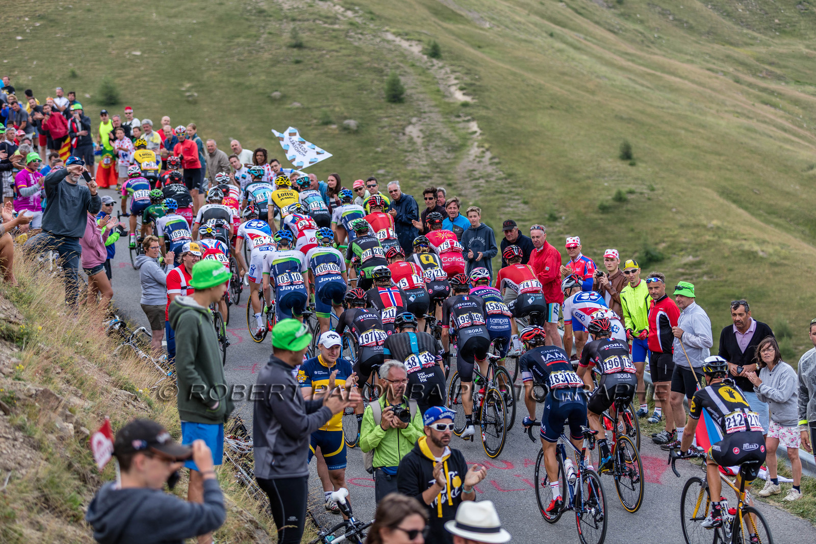 Tour de France 2015