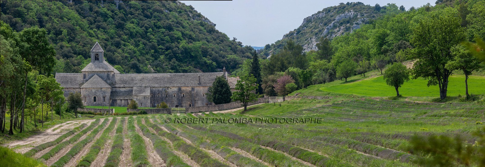 Abbaye de Sénanque