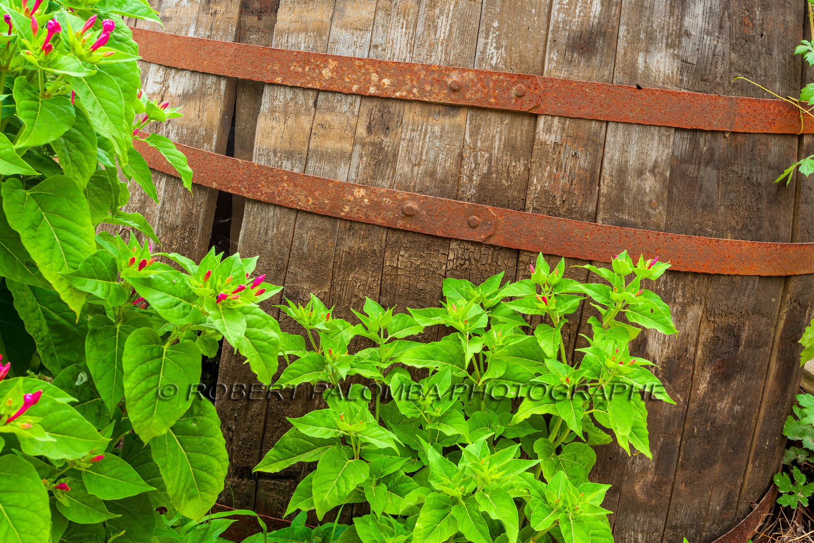 Domaine de Pratavone