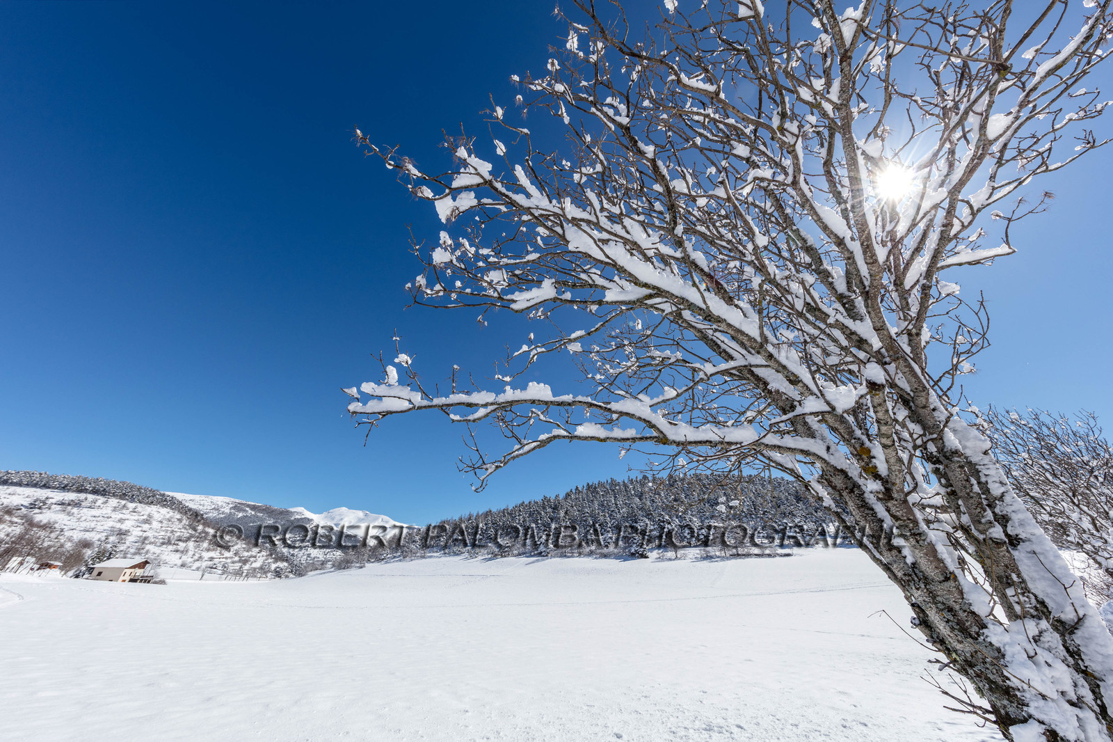 La Colle-Saint-Michel