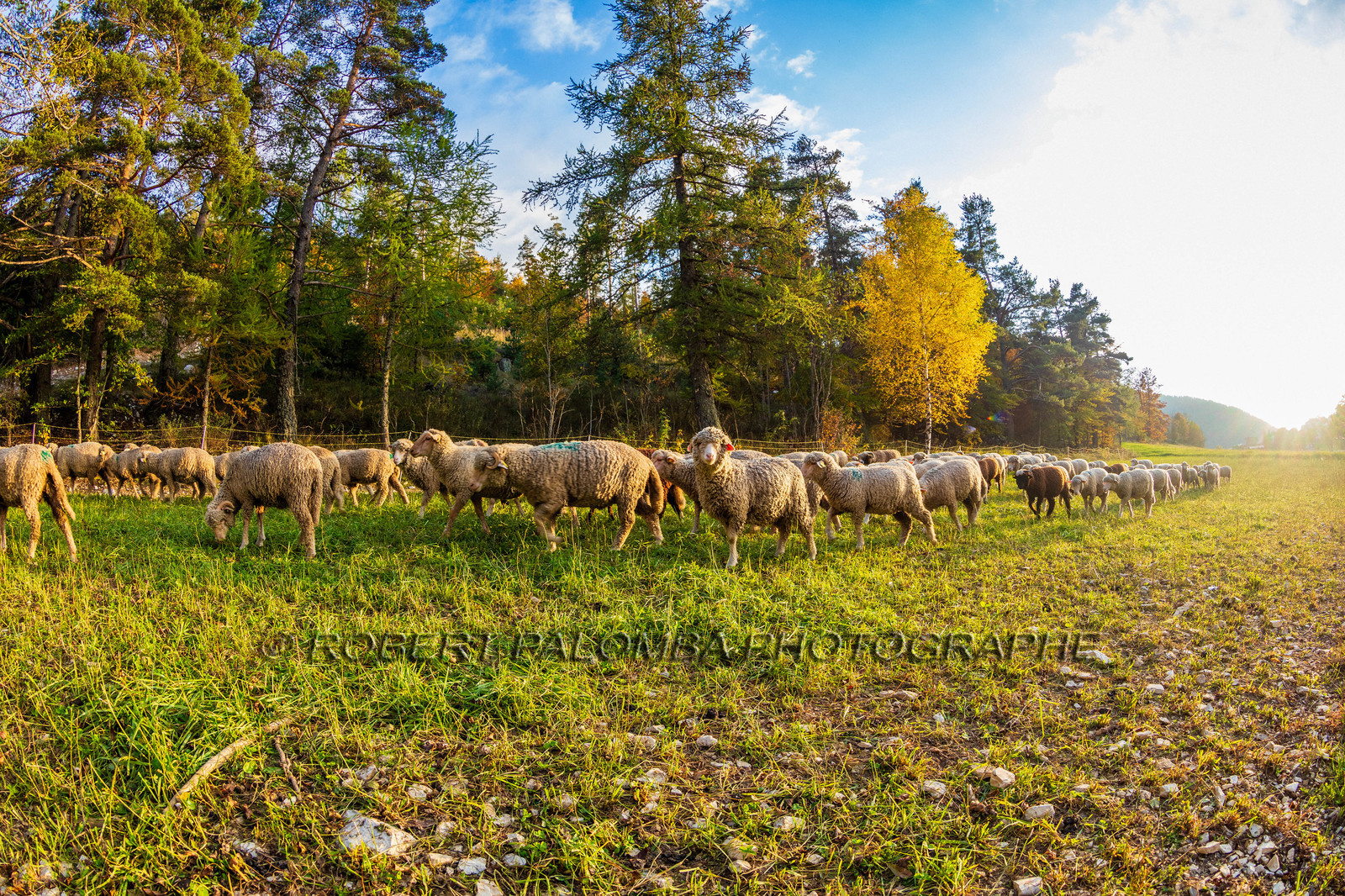 La Colle Saint-Michel