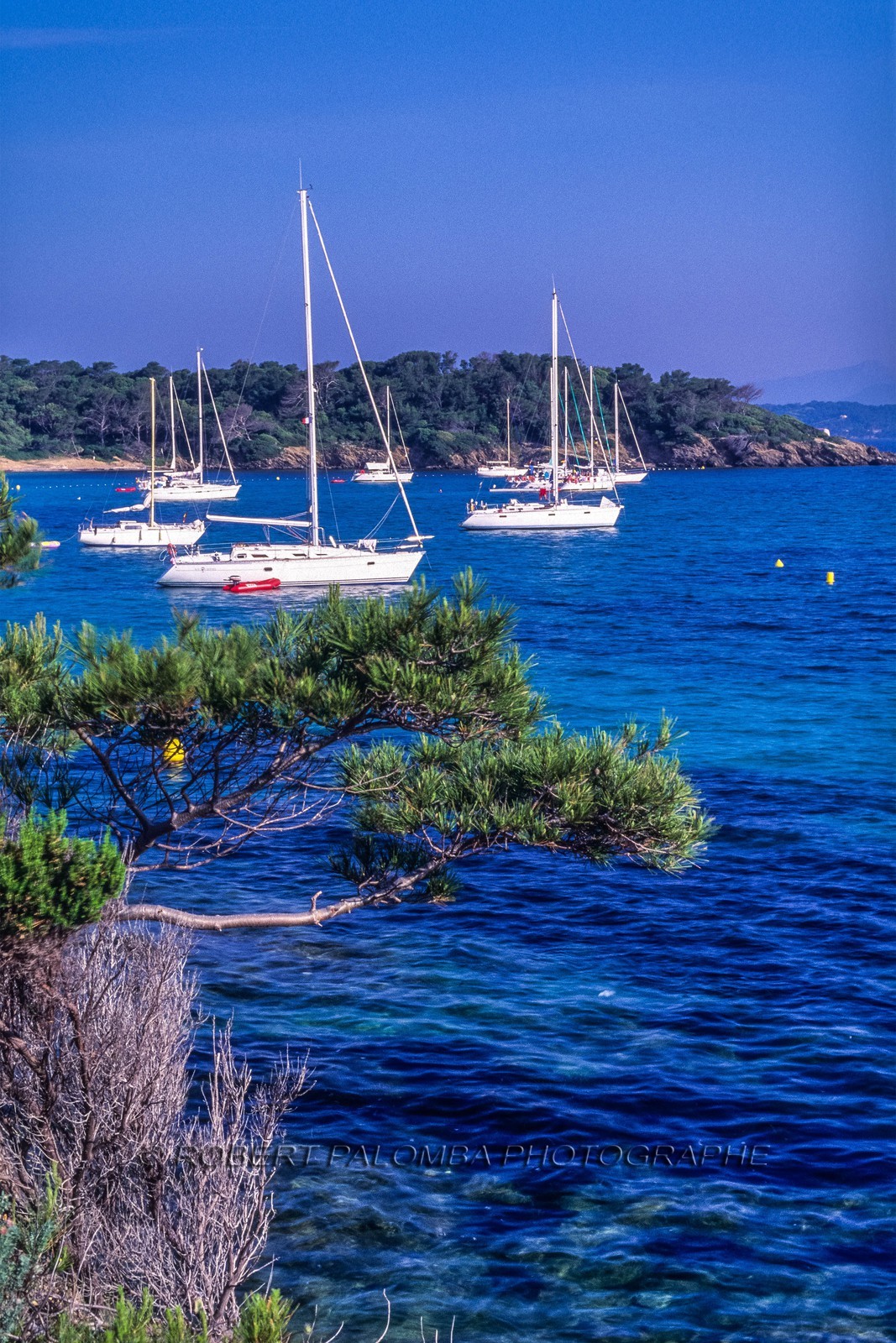 Porquerolles