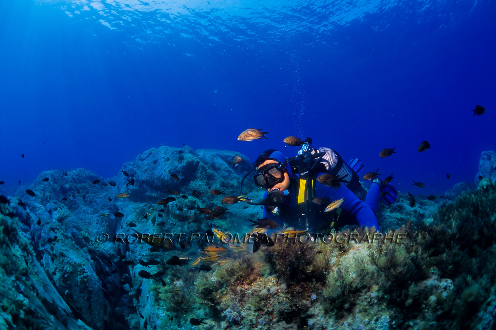 Plongée sous-marine