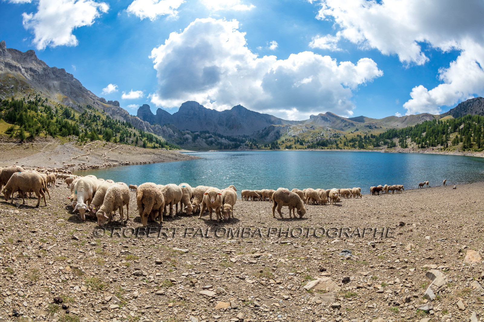 Lac d'Allos