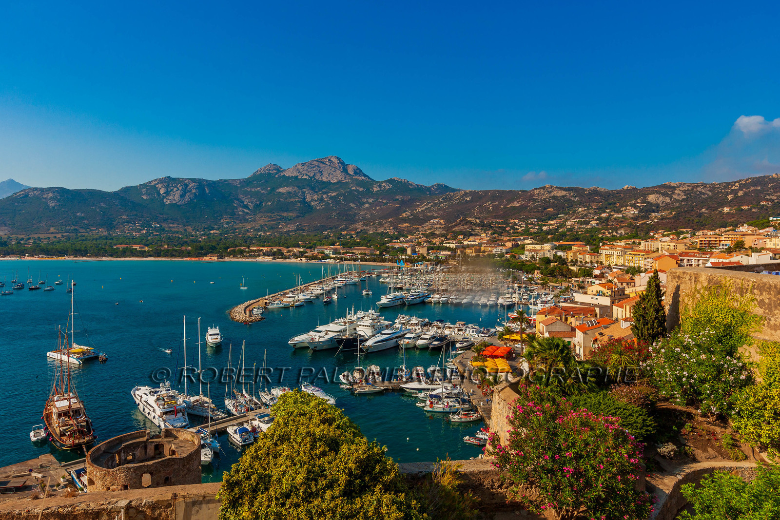 Calvi