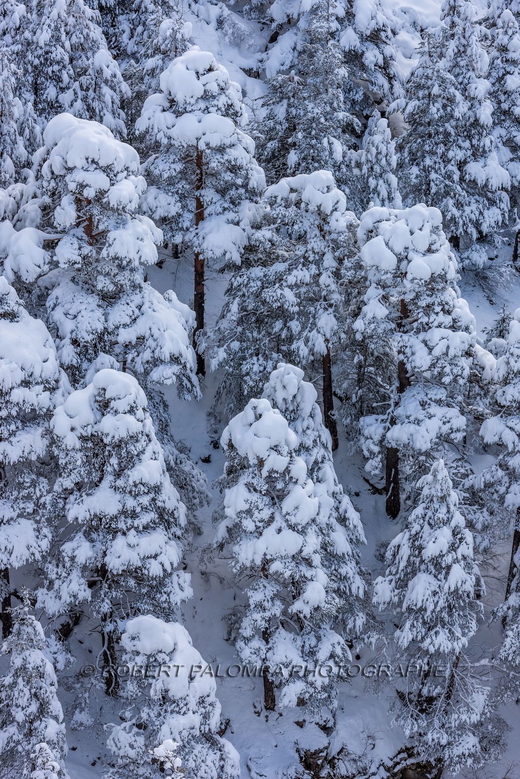 La Colle-Saint-Michel