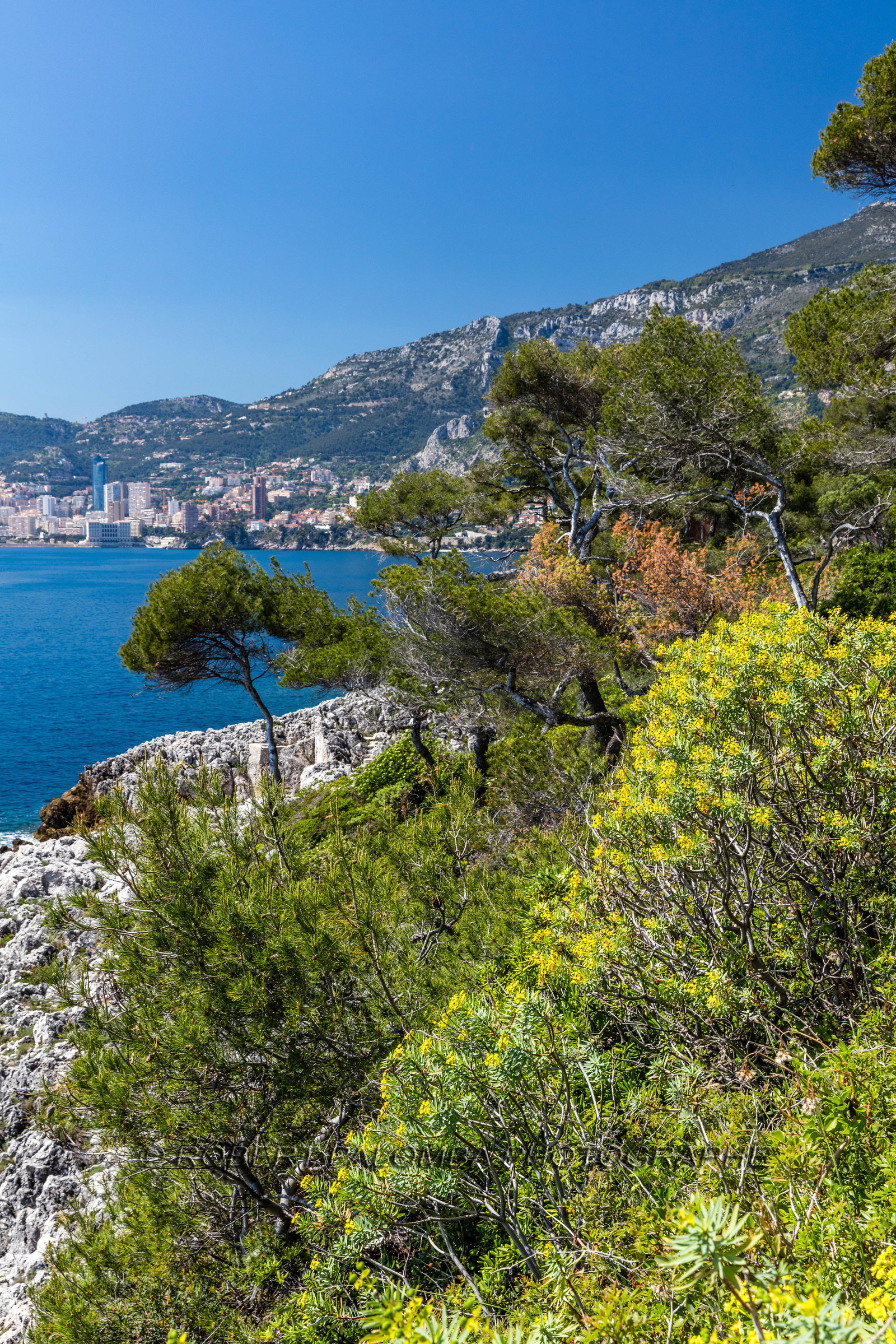 Roquebrune-Cap-Martin