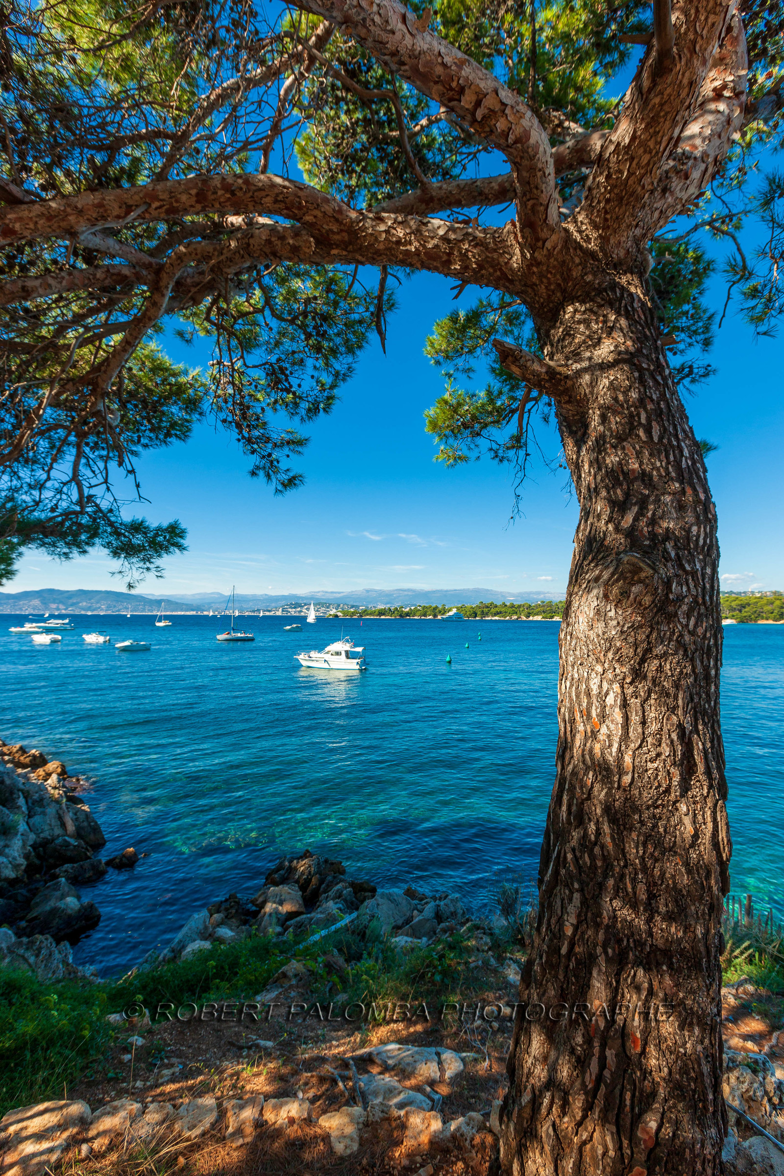 Ile St Honorat