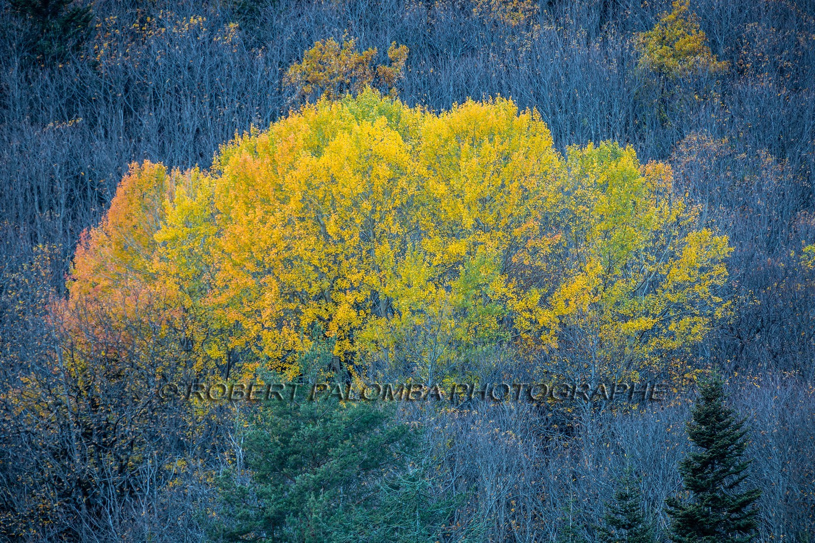 Granges de la Brasque