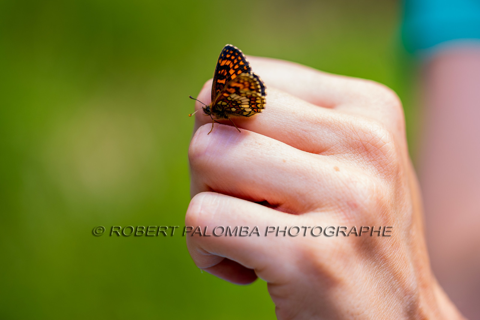 Alpes-de-Haute-Provence (04) Val d'Allos