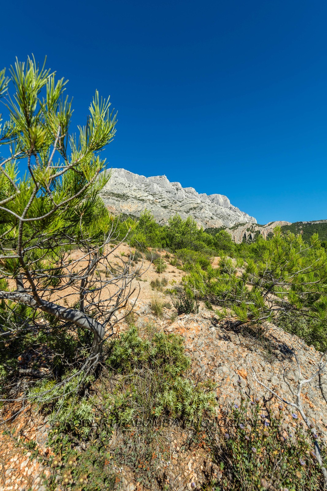 Sainte-Victoire