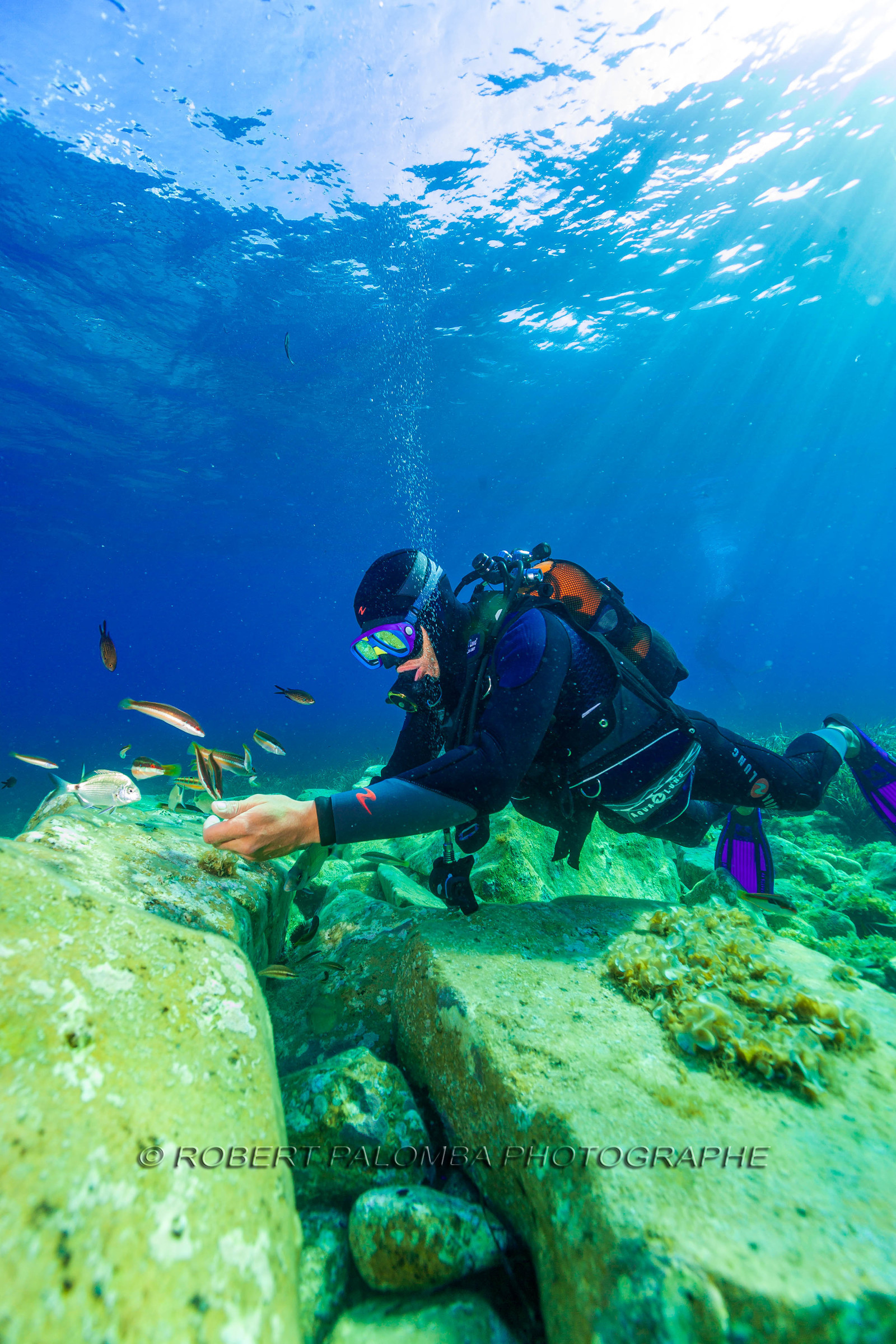 Plongée-sous-marine