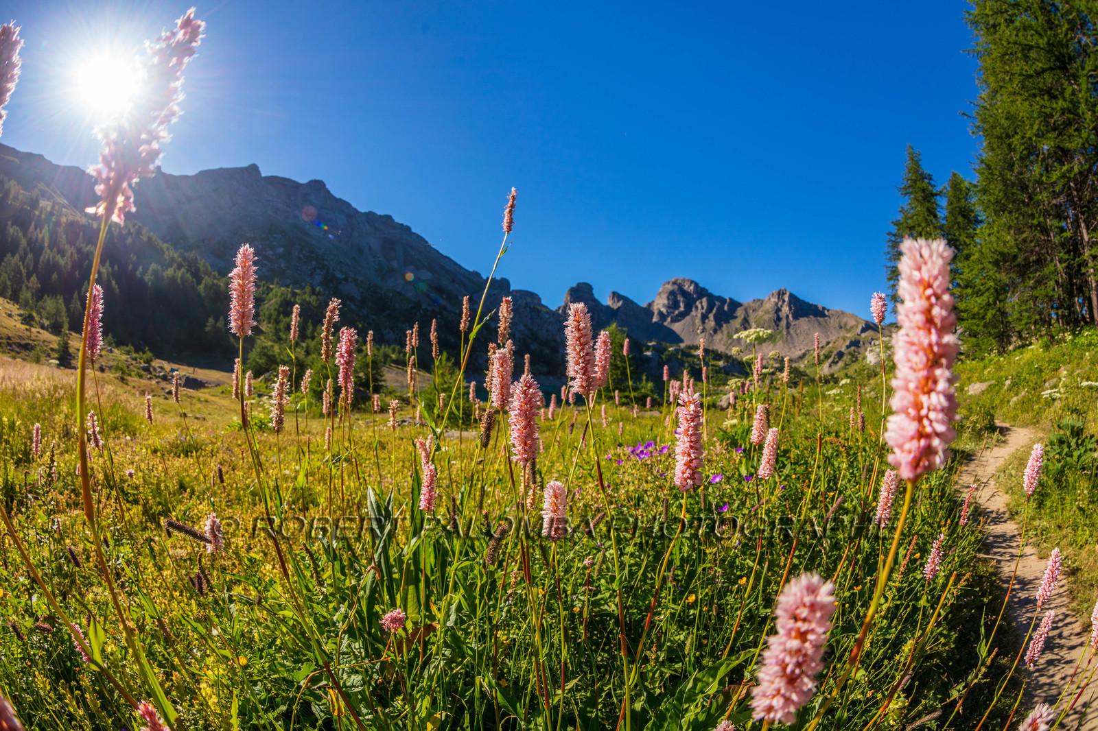 Lac d'Allos