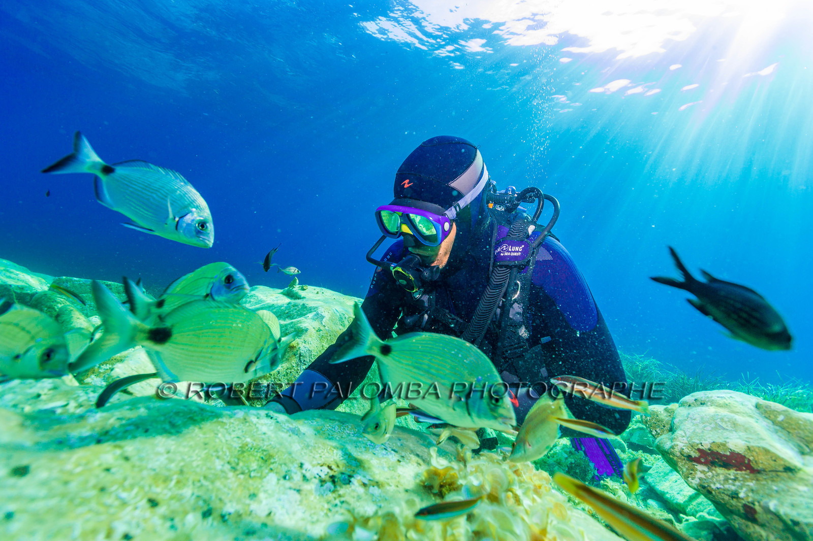 Plongée-sous-marine