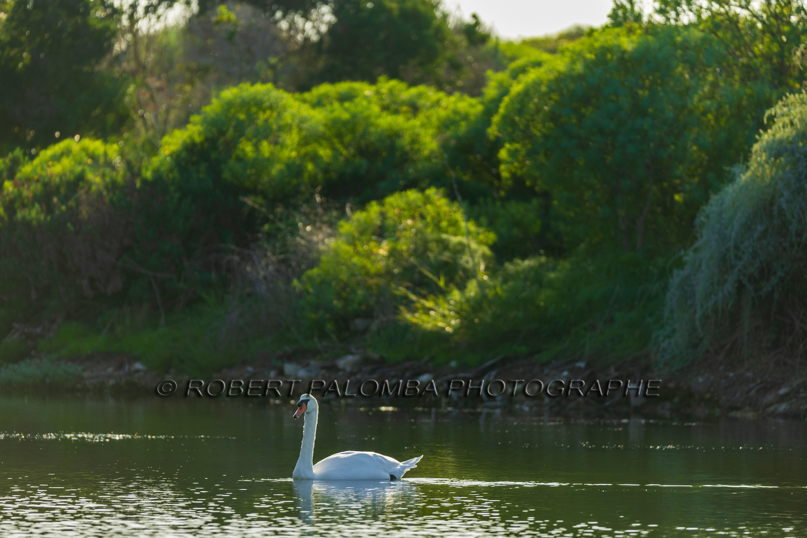 Lérins Sainte-Marguerite