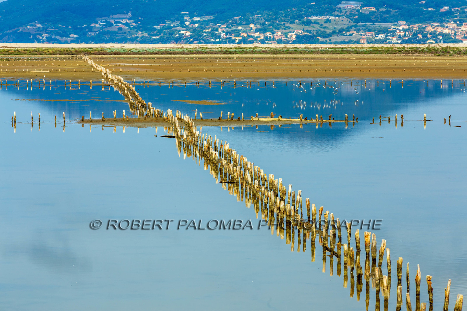Salins d'Hyères