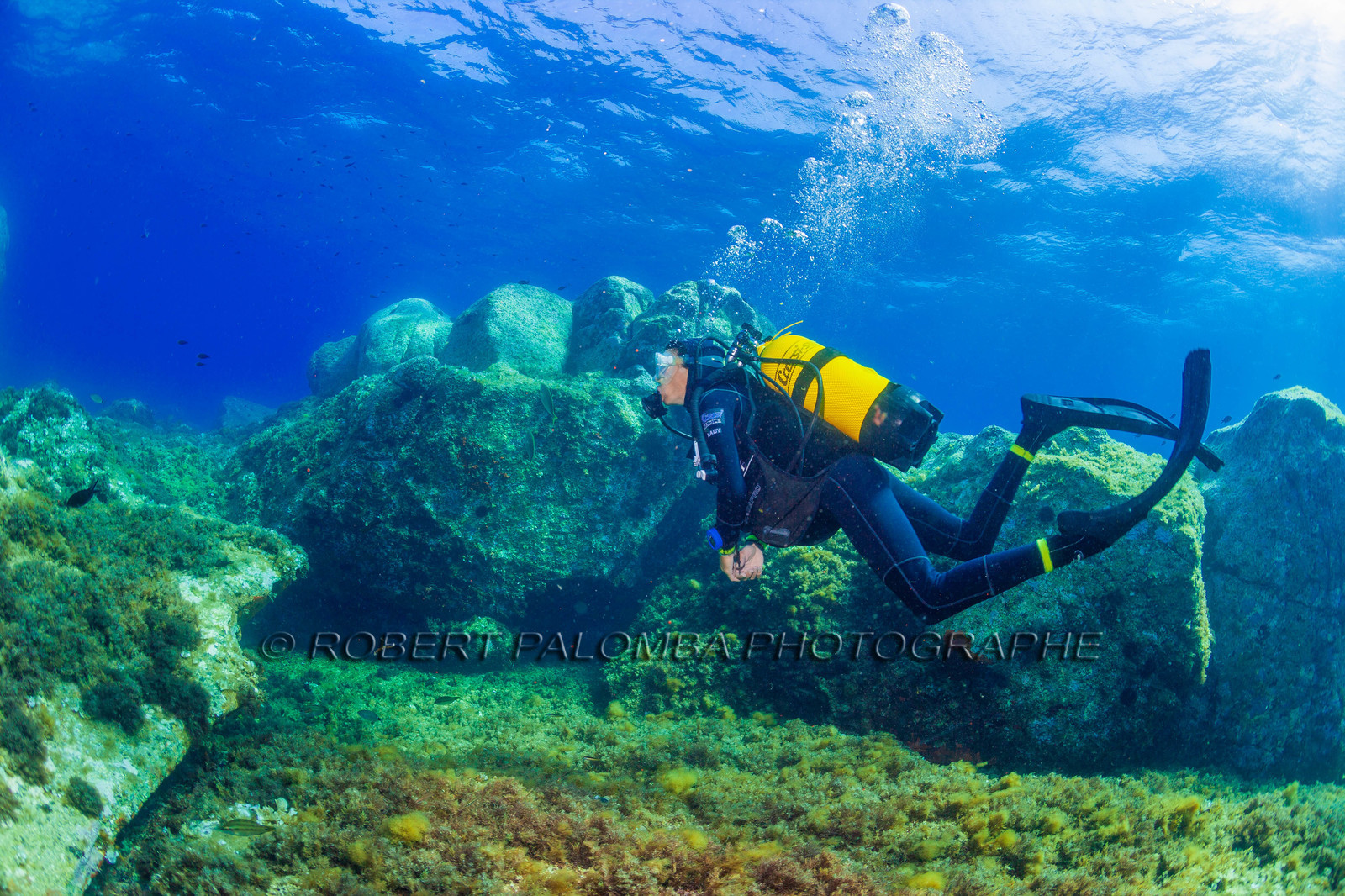 Plongée-sous-marine