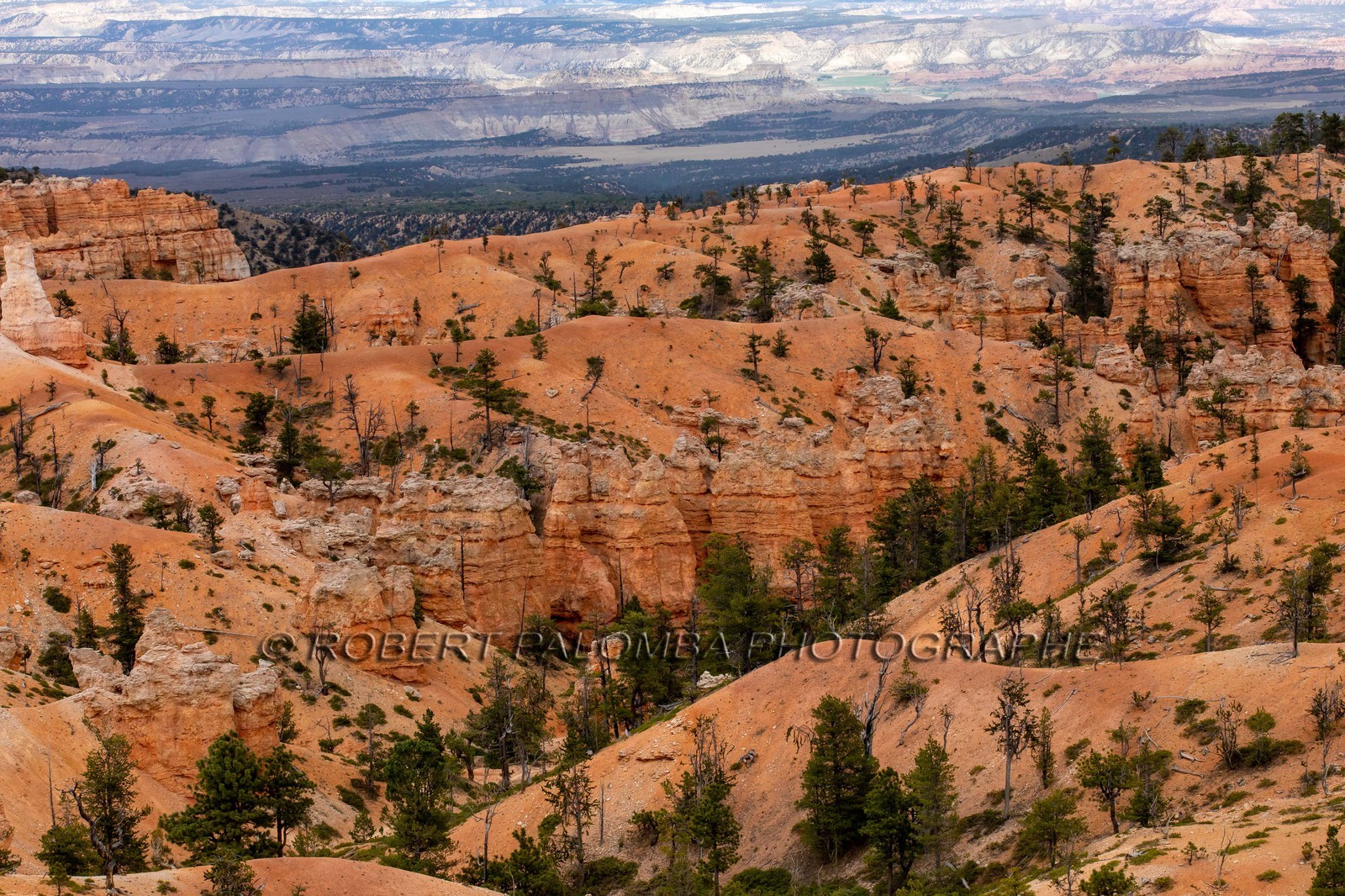 Bryce Canyon
