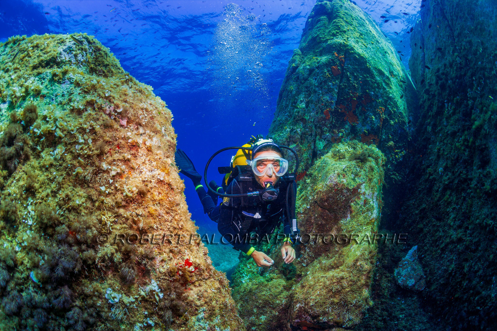 Plongée-sous-marine