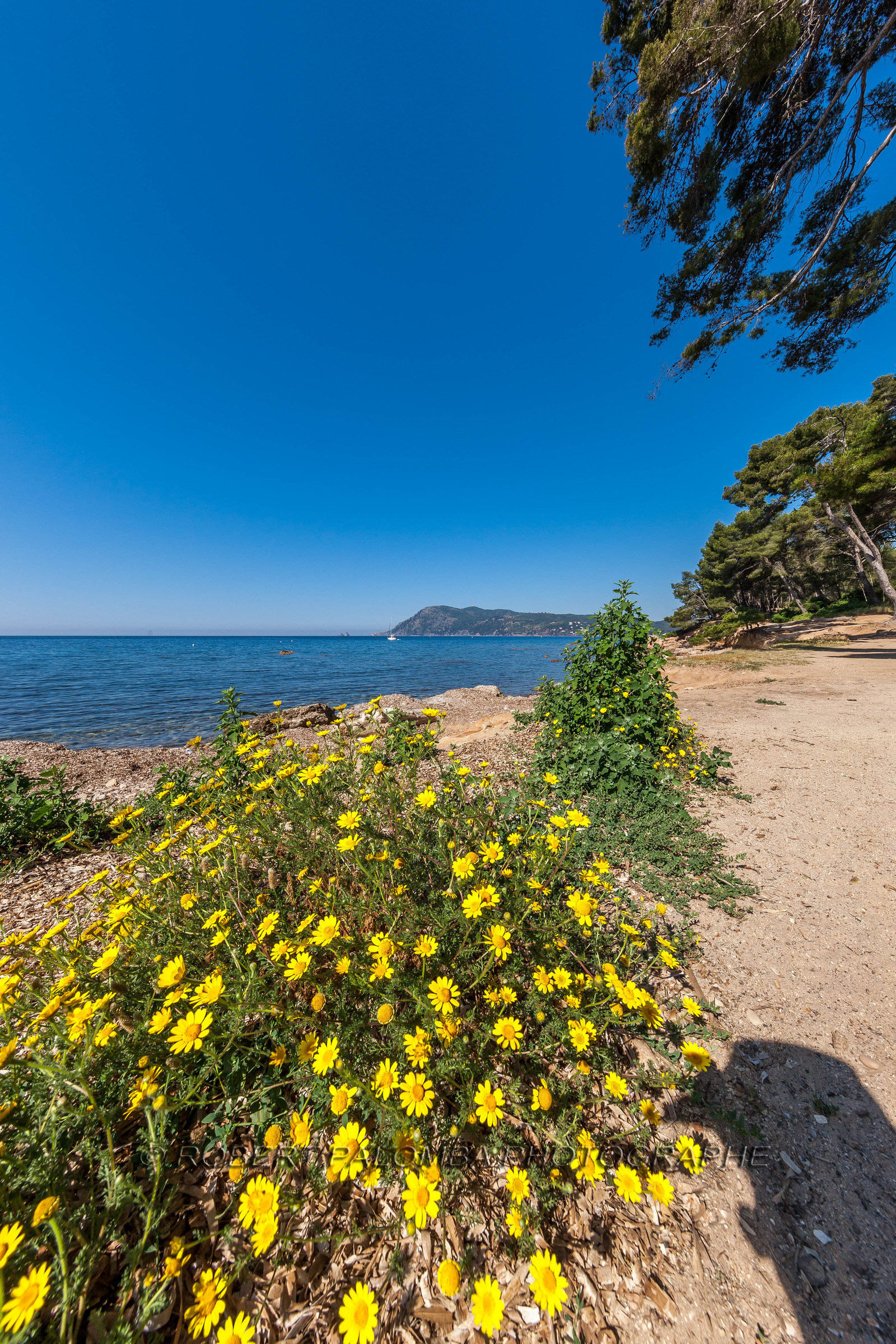 Saint-Mandrier-sur-Mer