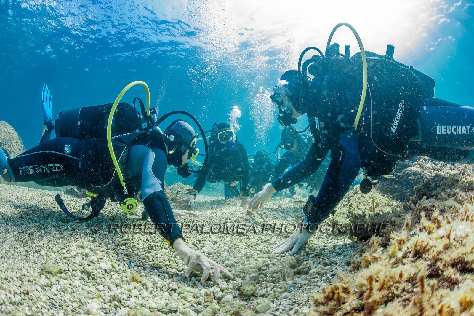 Plongée sous-marine