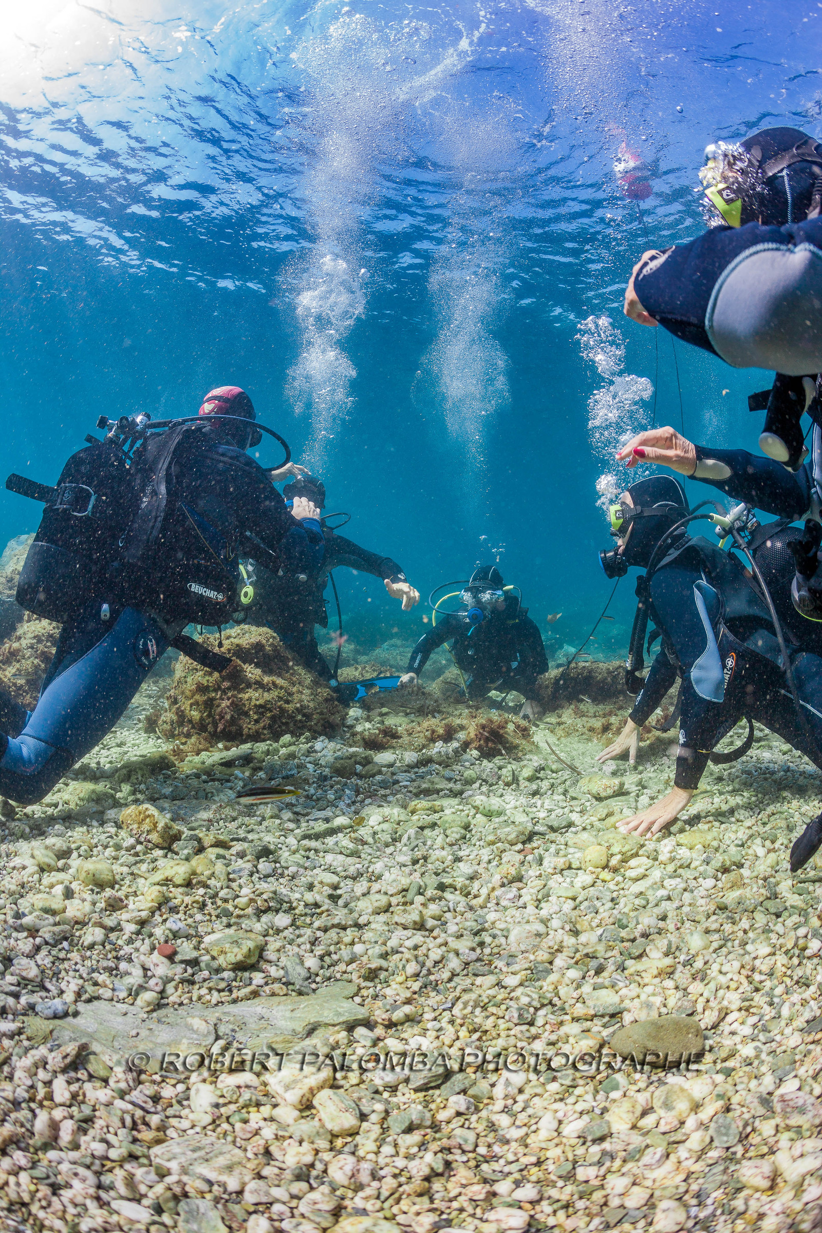 Plongée sous-marine