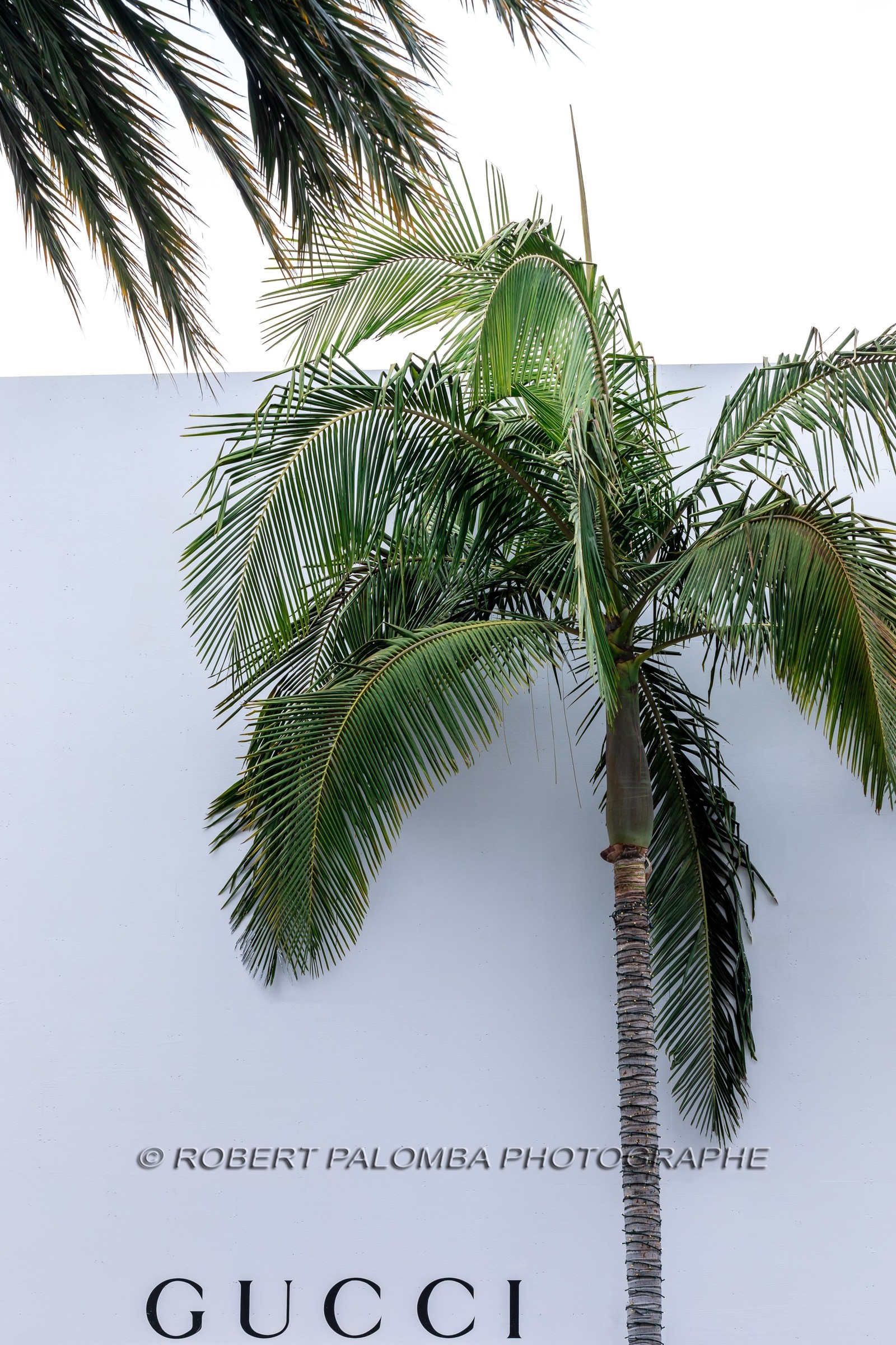 Etats-Unis, Californie-du-Sud, Los Angeles, Rodeo Drive