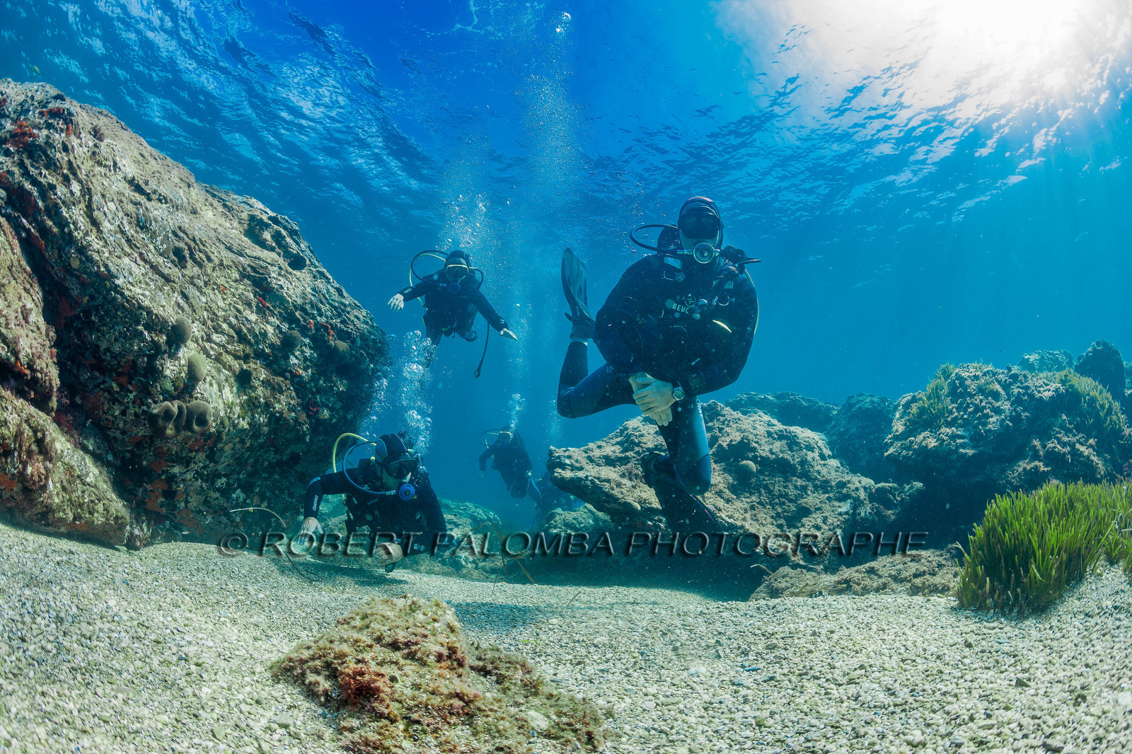 Plongée sous-marine