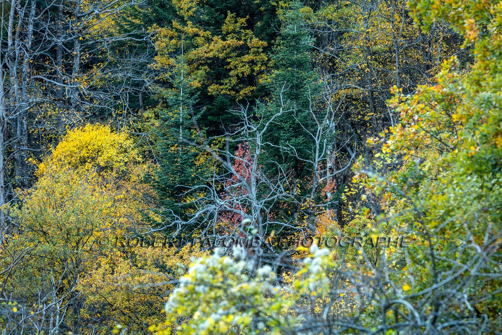 Granges de la Brasque