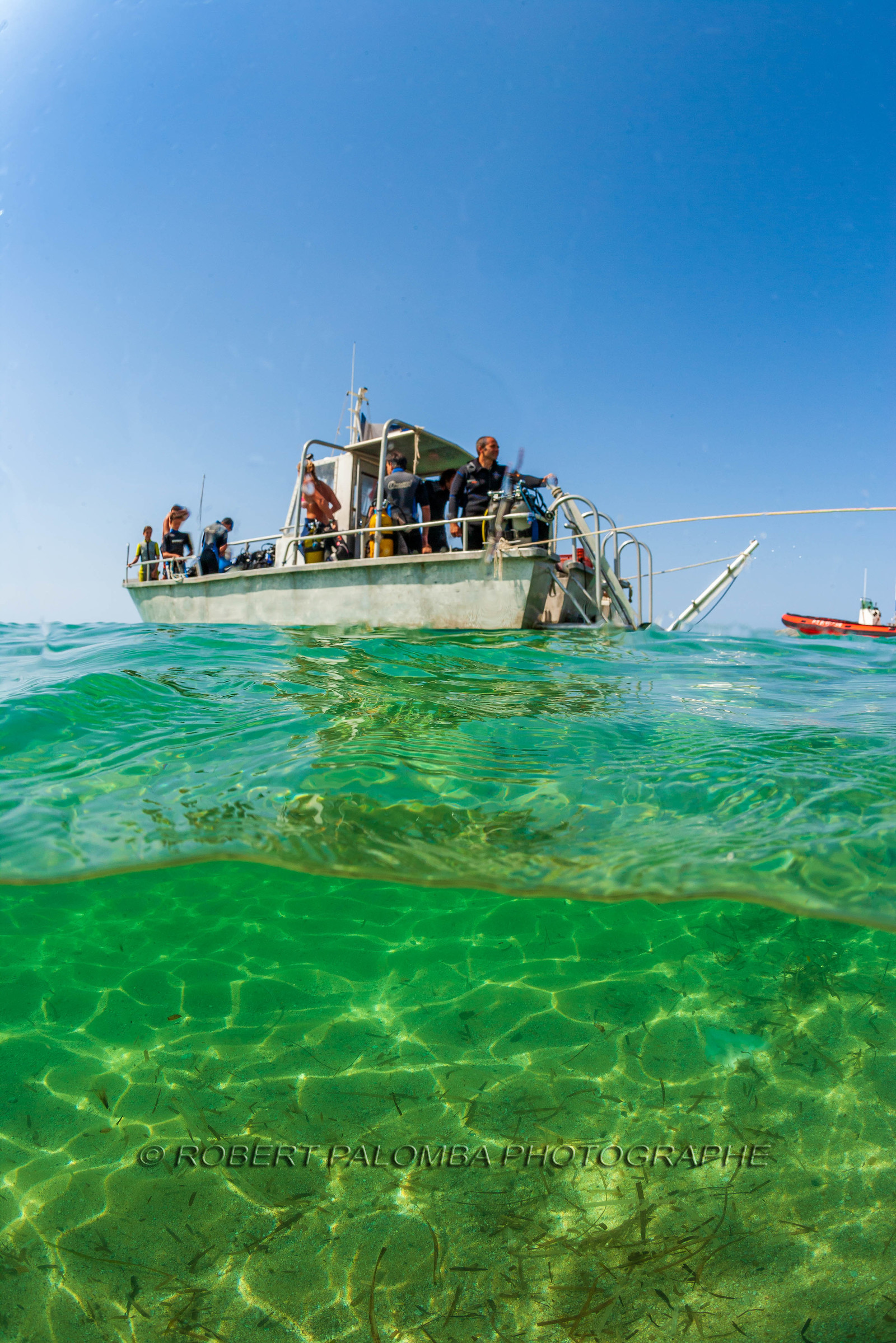 Plongée-sous-marine