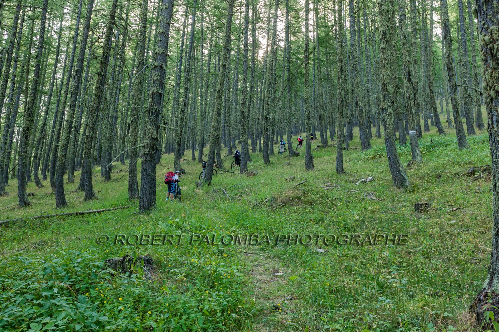 Rando Vtt Lacs de Lignin