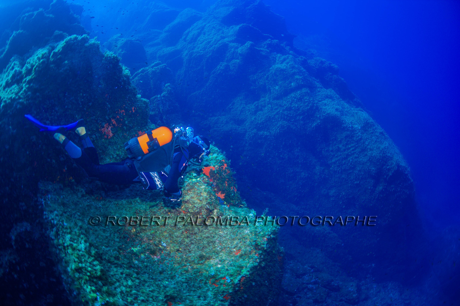 Plongée-sous-marine