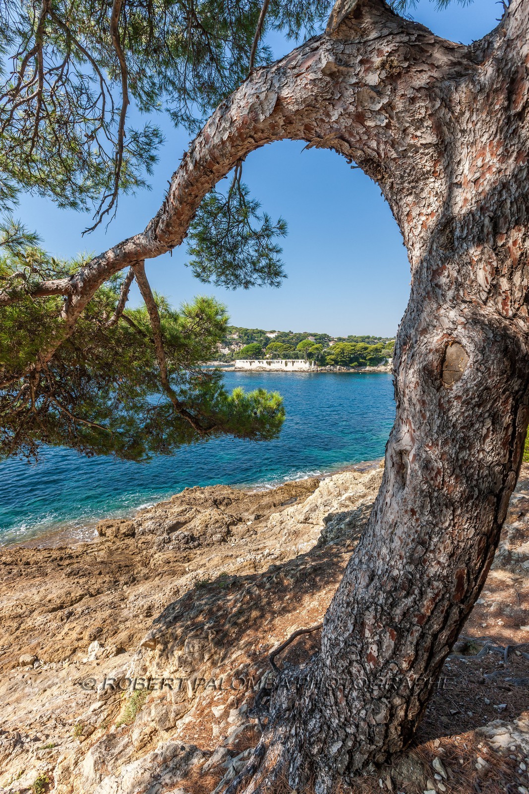 Saint-Jean-Cap-Ferrat